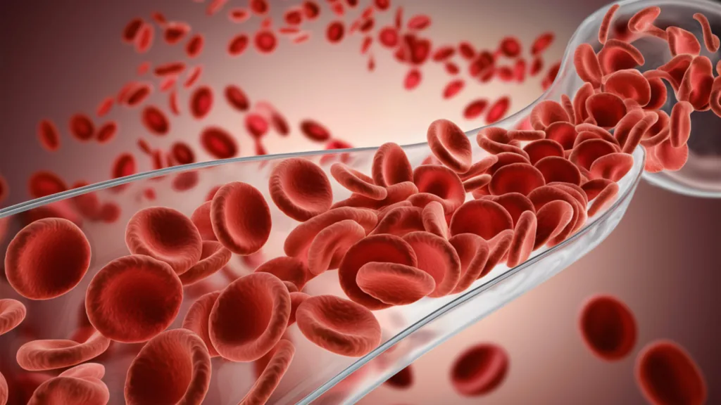 A 3D illustration of red blood cells flowing through a blood vessel